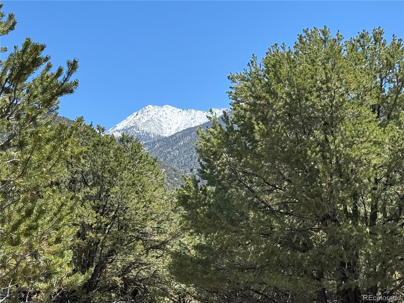 3231 Camino Del Rey Crestone CO 81131