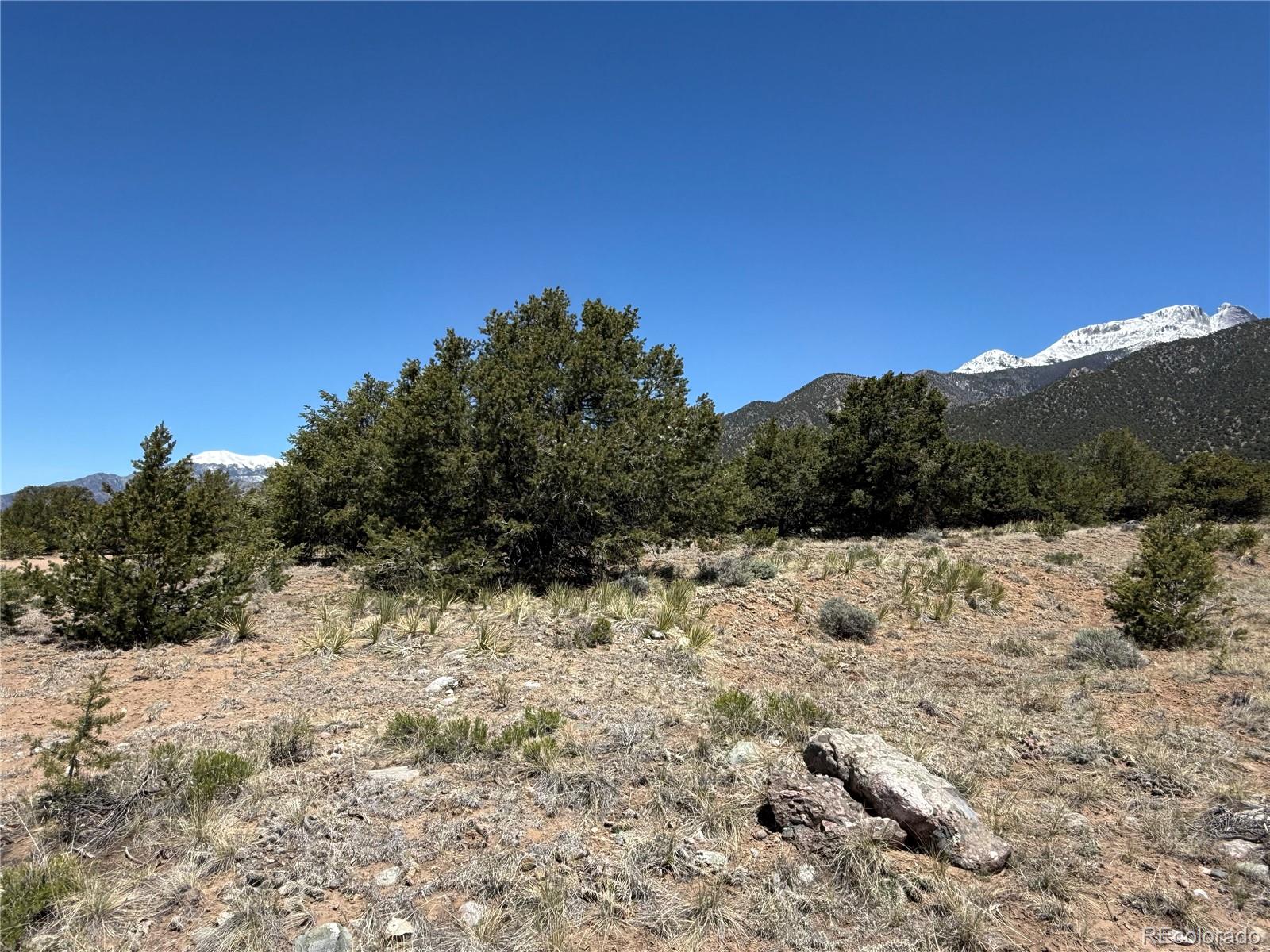 3231 Camino Del Rey Crestone CO 81131