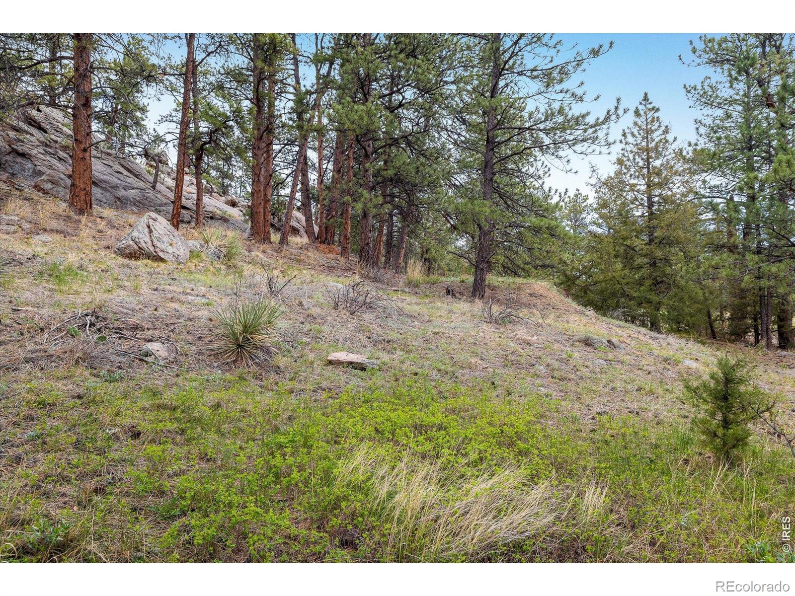 1289 Kiowa Road Lyons CO 80540