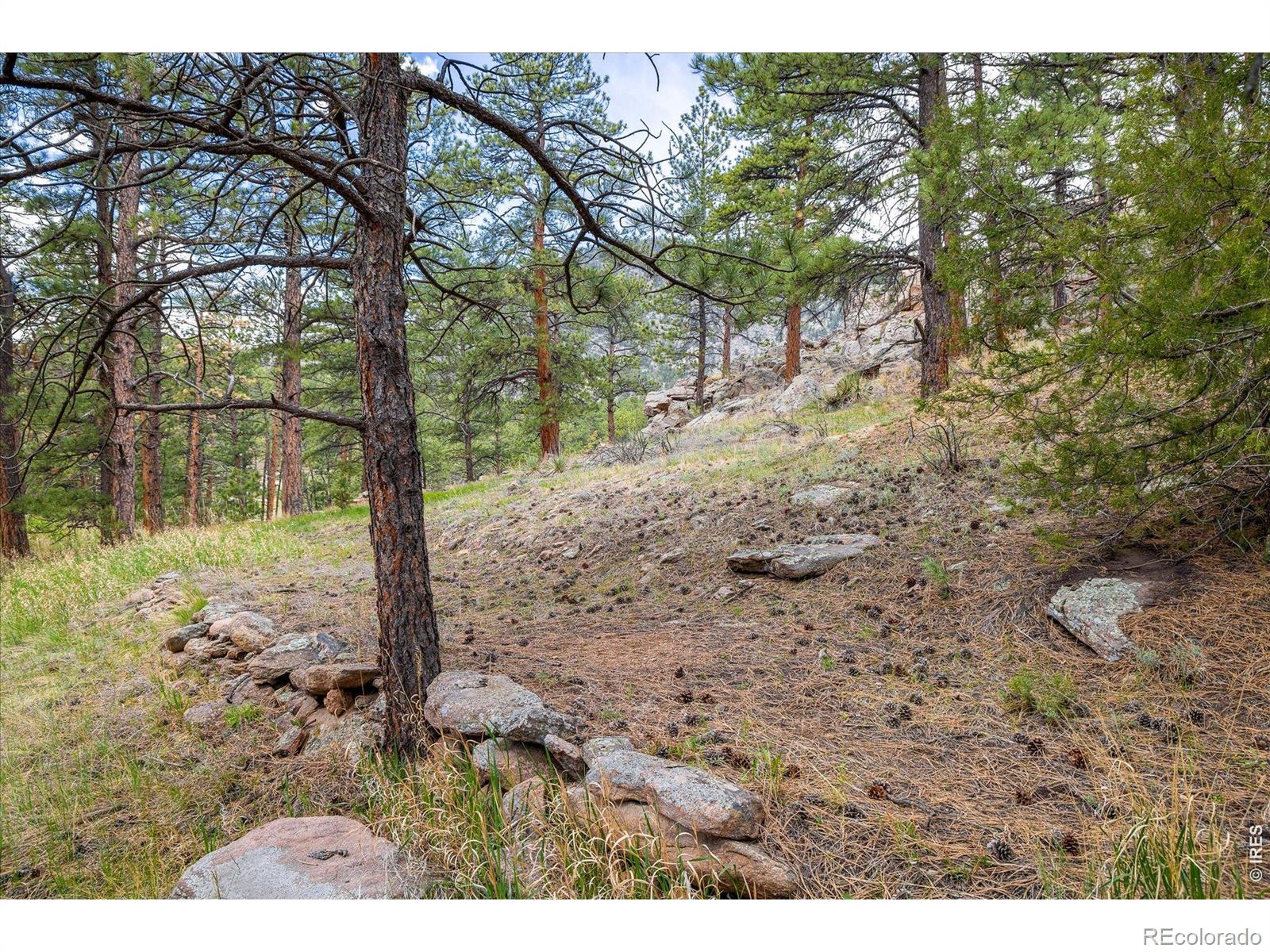 1289 Kiowa Road Lyons CO 80540