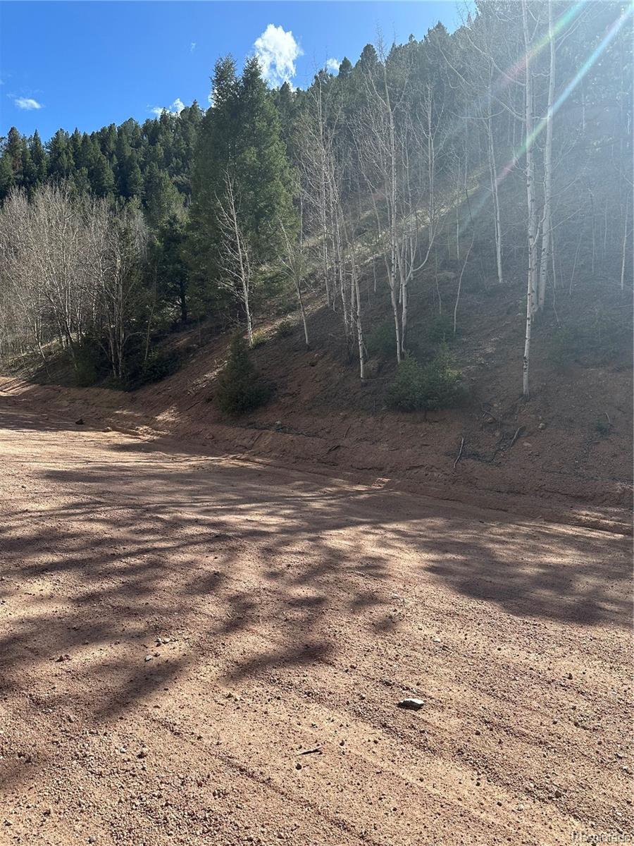 County Road 61 Divide CO 80816