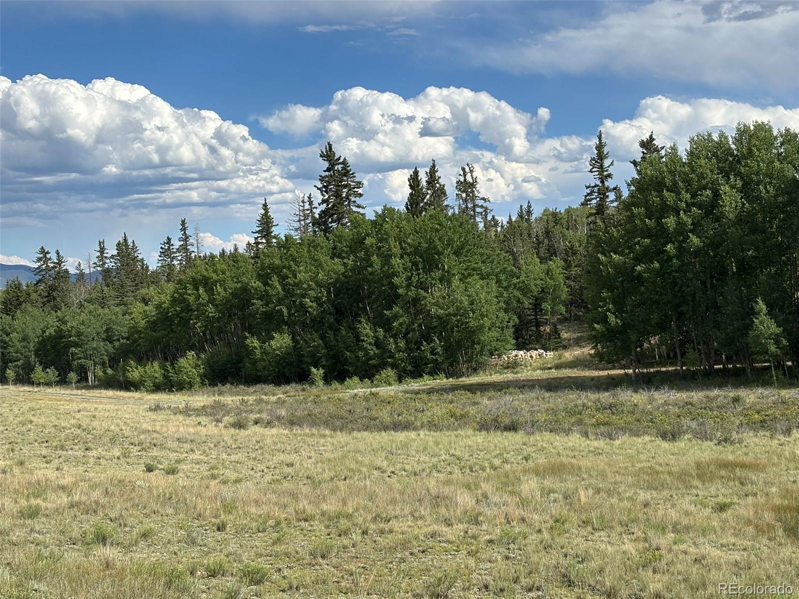 702 Pinto Trail Como CO 80432