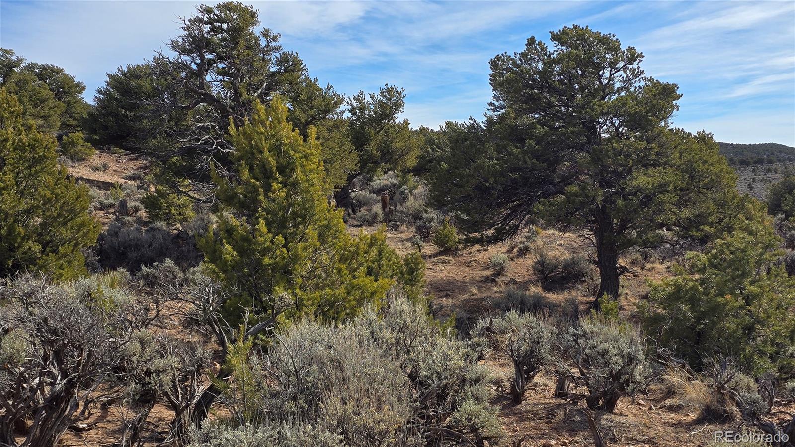 Lot 7293 Barker Road Fort Garland CO 81133