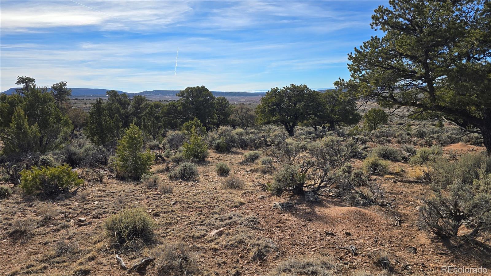 Lot 7293 Barker Road Fort Garland CO 81133