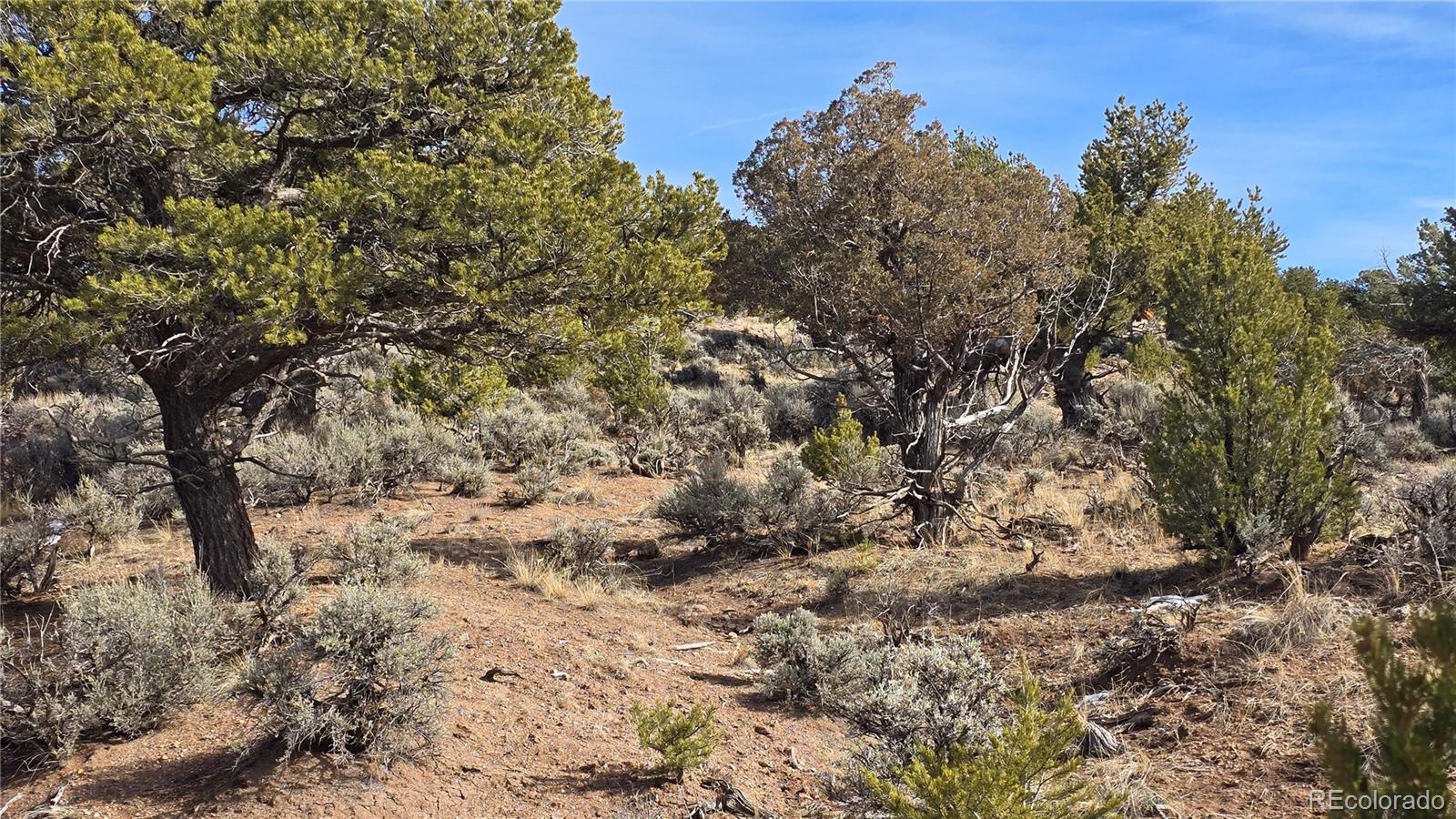 Lot 7293 Barker Road Fort Garland CO 81133