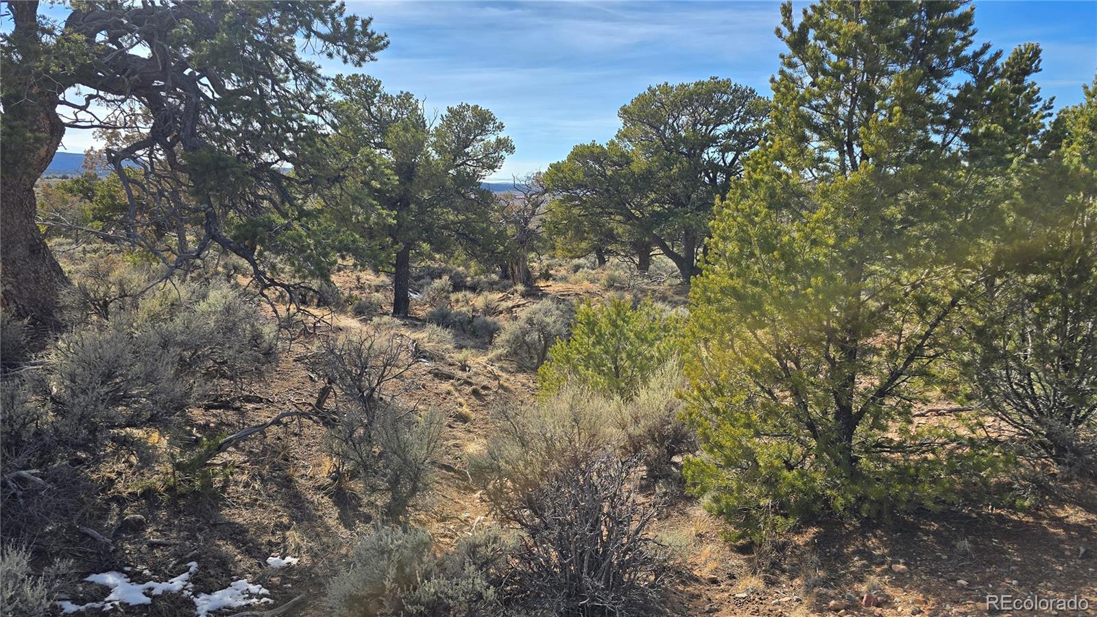 Lot 7293 Barker Road Fort Garland CO 81133