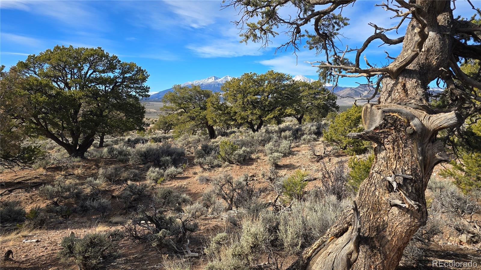Lot 7293 Barker Road Fort Garland CO 81133