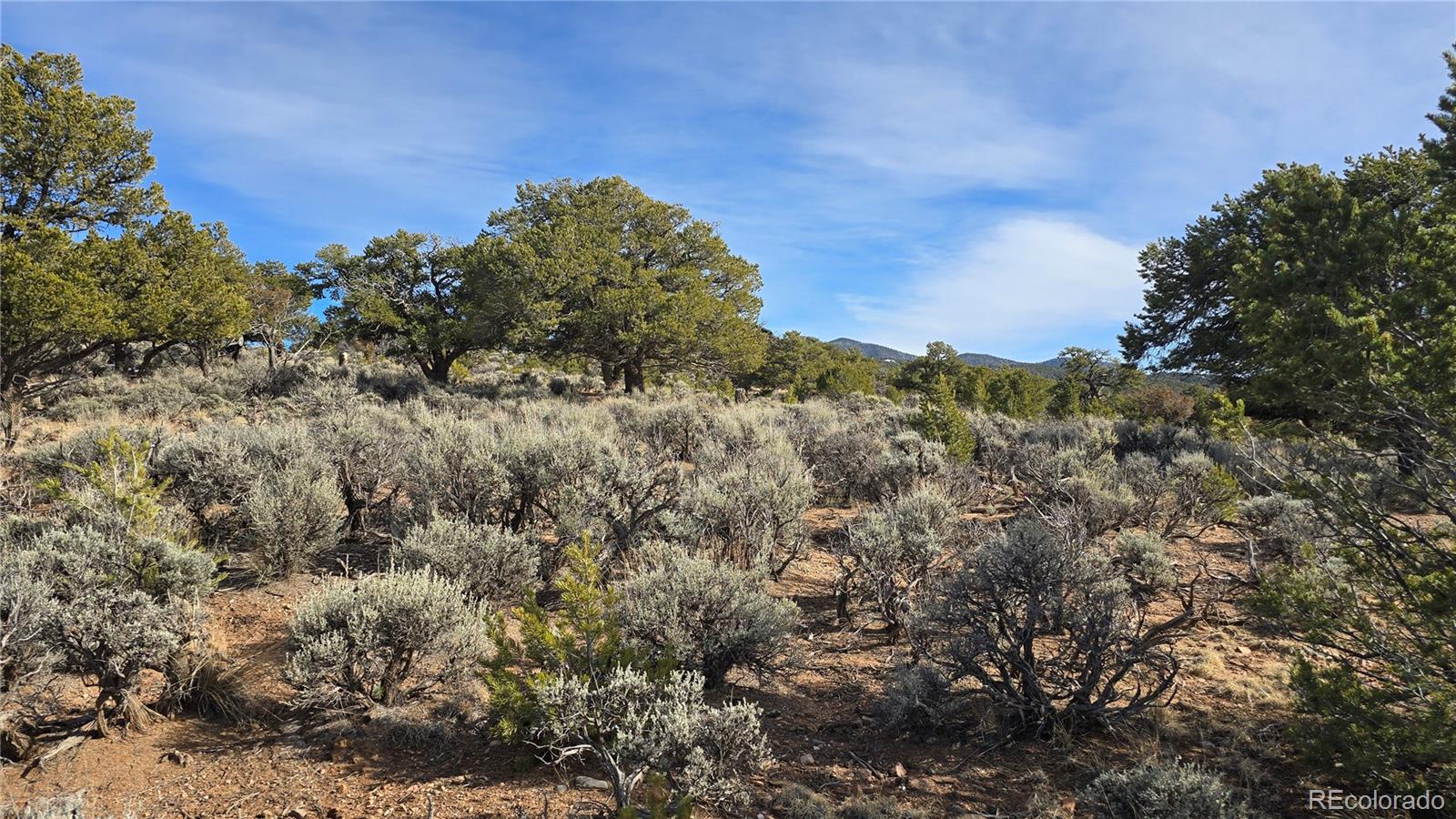 Lot 7293 Barker Road Fort Garland CO 81133