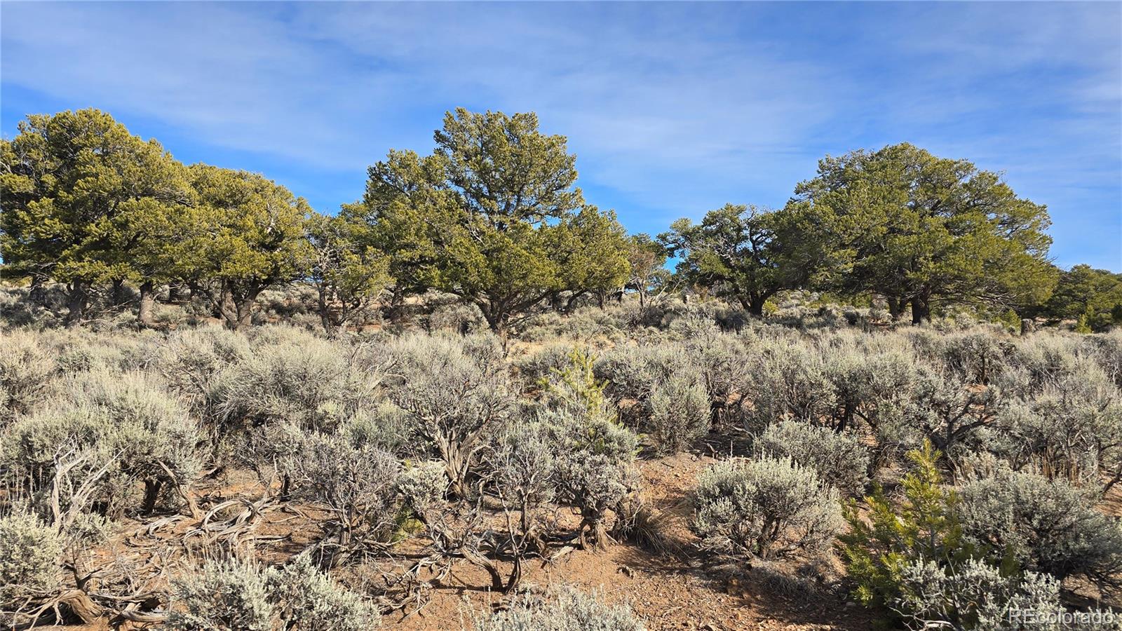 Lot 7293 Barker Road Fort Garland CO 81133