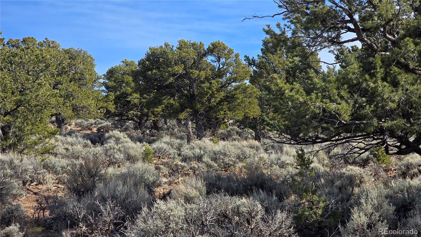 Lot 7293 Barker Road Fort Garland CO 81133