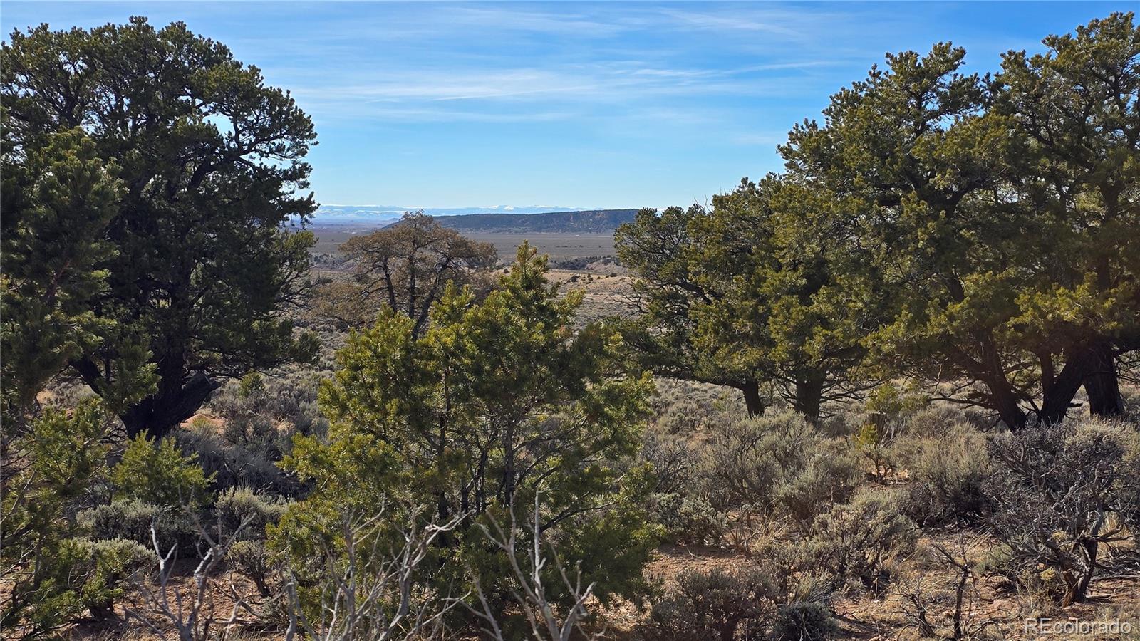 Lot 7293 Barker Road Fort Garland CO 81133