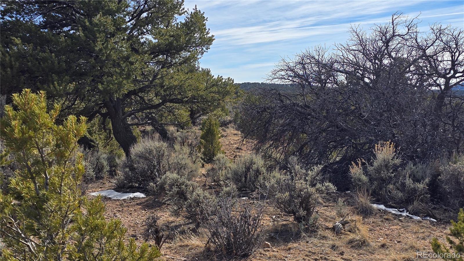 Lot 7293 Barker Road Fort Garland CO 81133