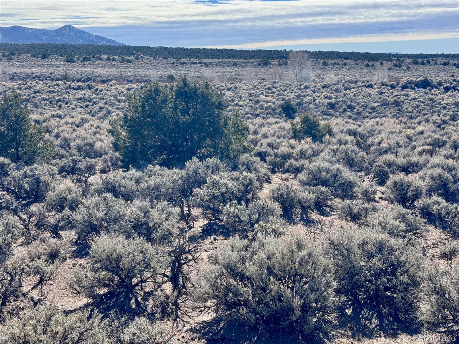 Lot 663 Slegers Road Fort Garland CO 81133