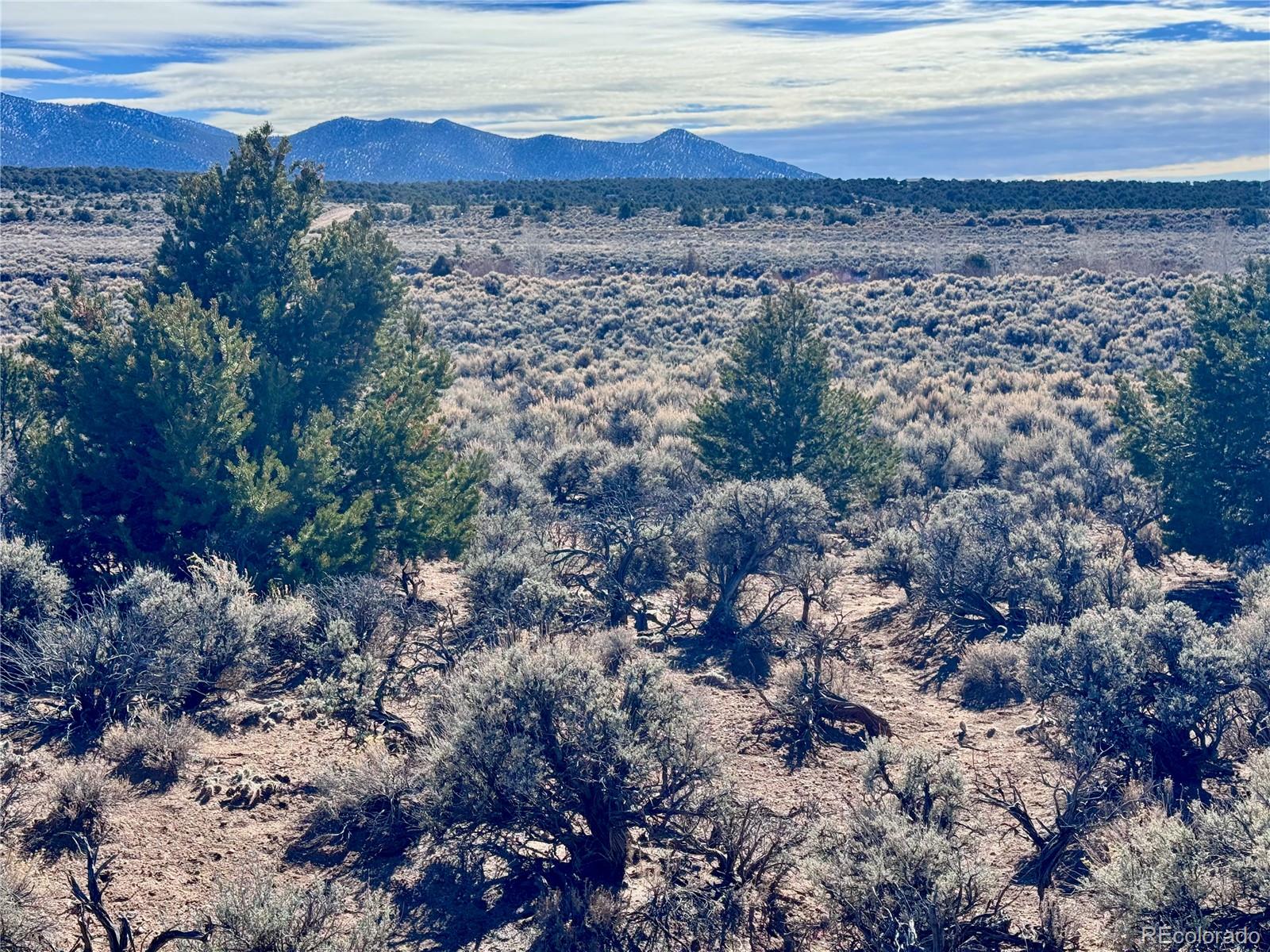 Lot 663 Slegers Road Fort Garland CO 81133