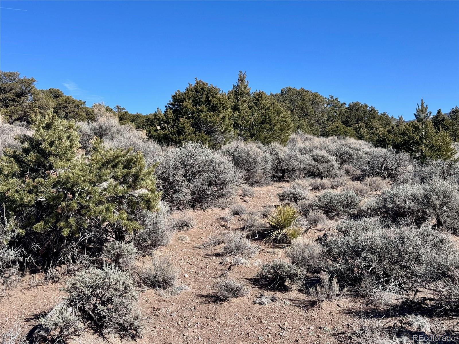 Lot 663 Slegers Road Fort Garland CO 81133