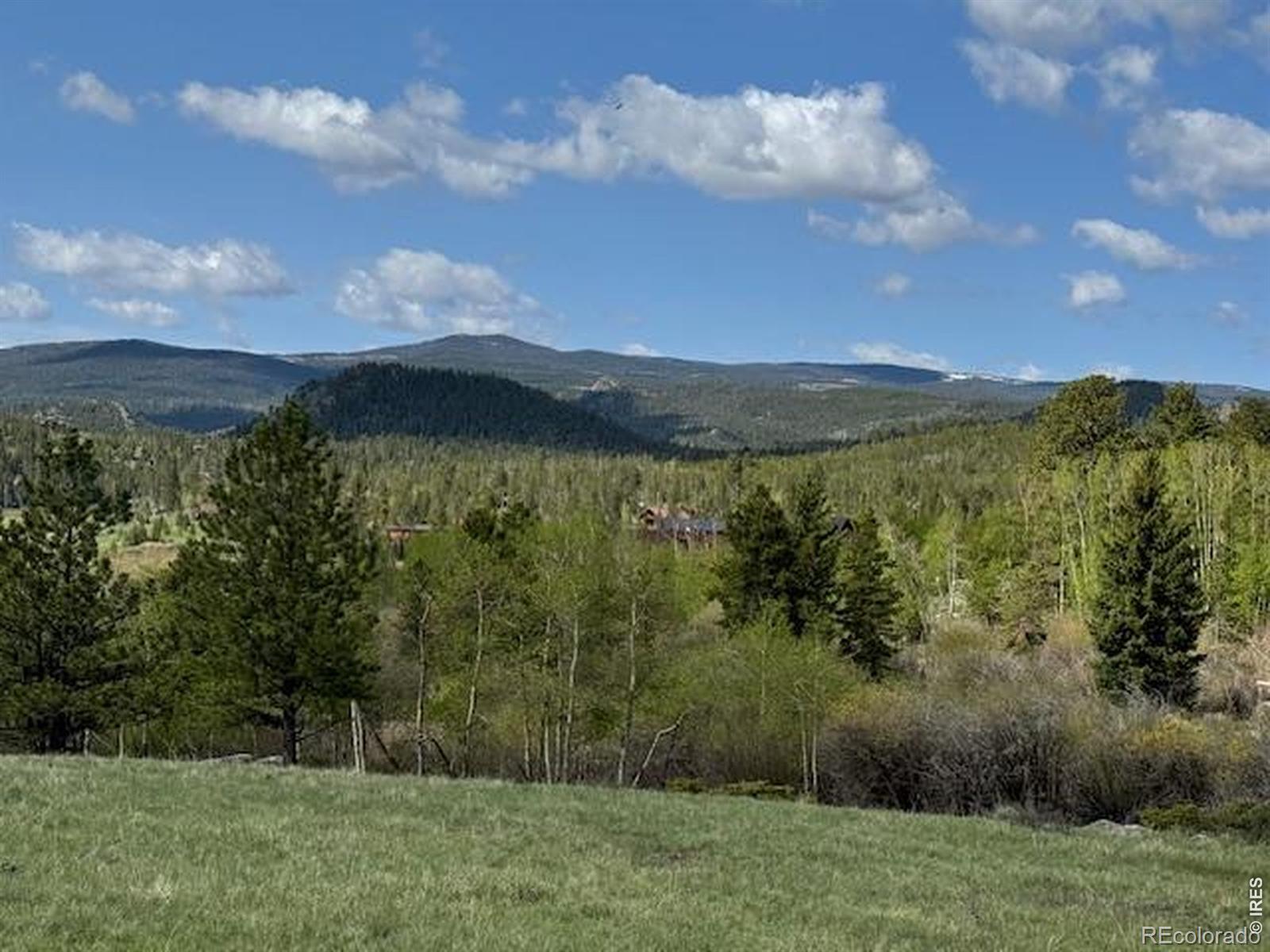 137 Cimarron Road Red Feather Lakes CO 80545