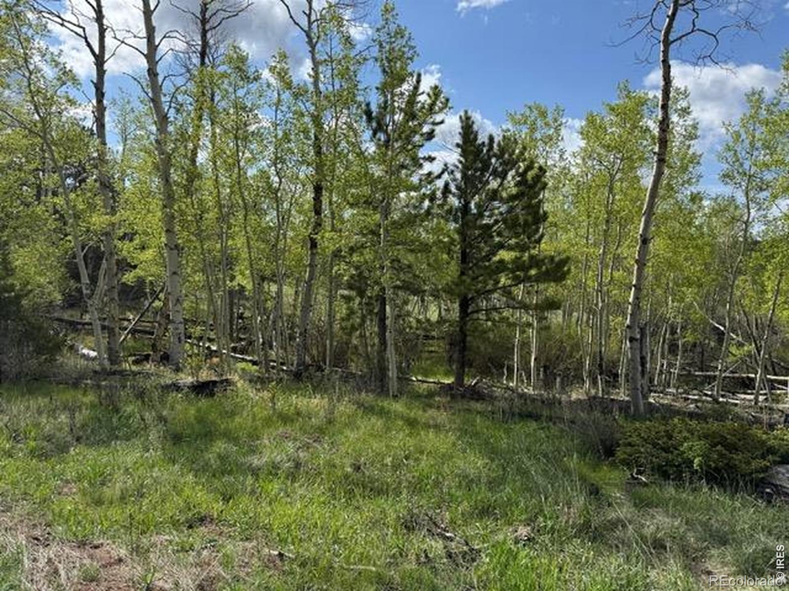137 Cimarron Road Red Feather Lakes CO 80545