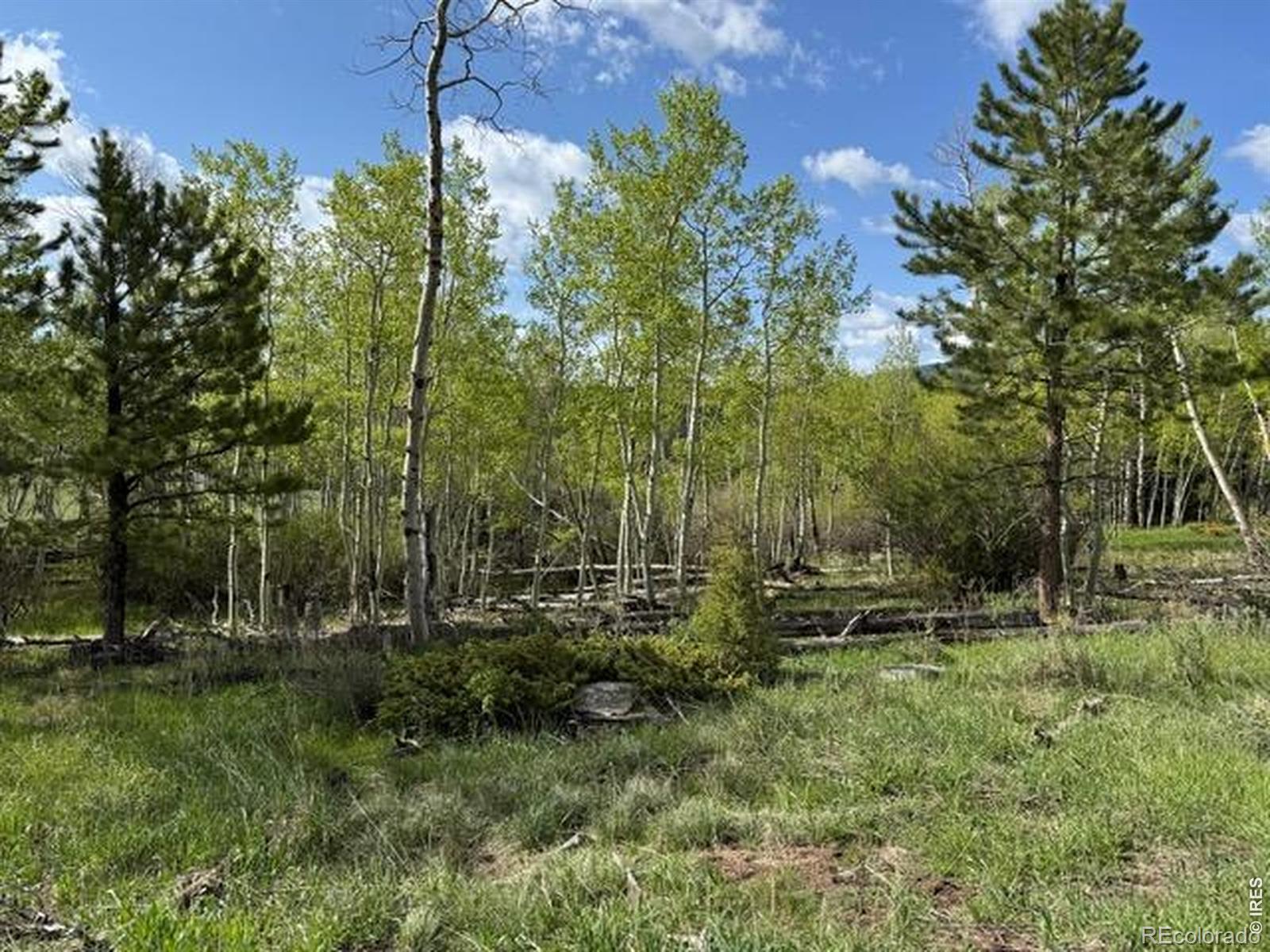 137 Cimarron Road Red Feather Lakes CO 80545
