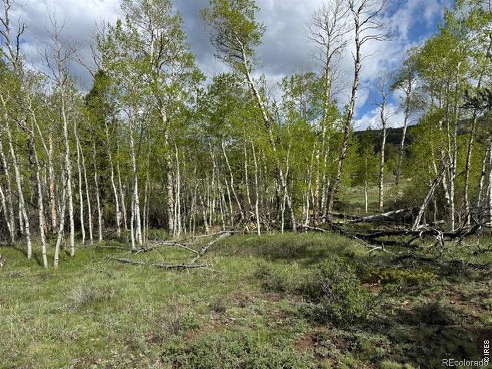 137 Cimarron Road Red Feather Lakes CO 80545