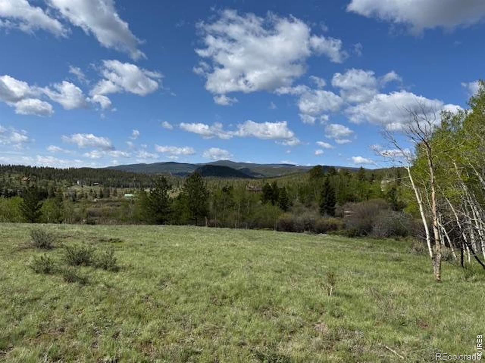137 Cimarron Road Red Feather Lakes CO 80545