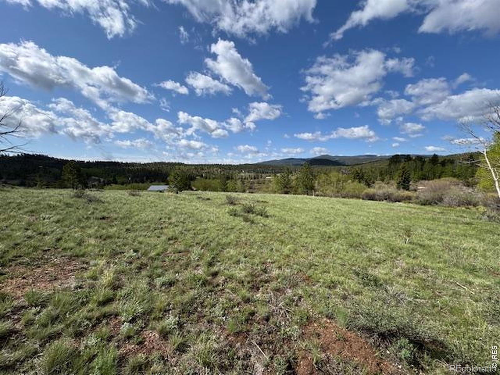 137 Cimarron Road Red Feather Lakes CO 80545