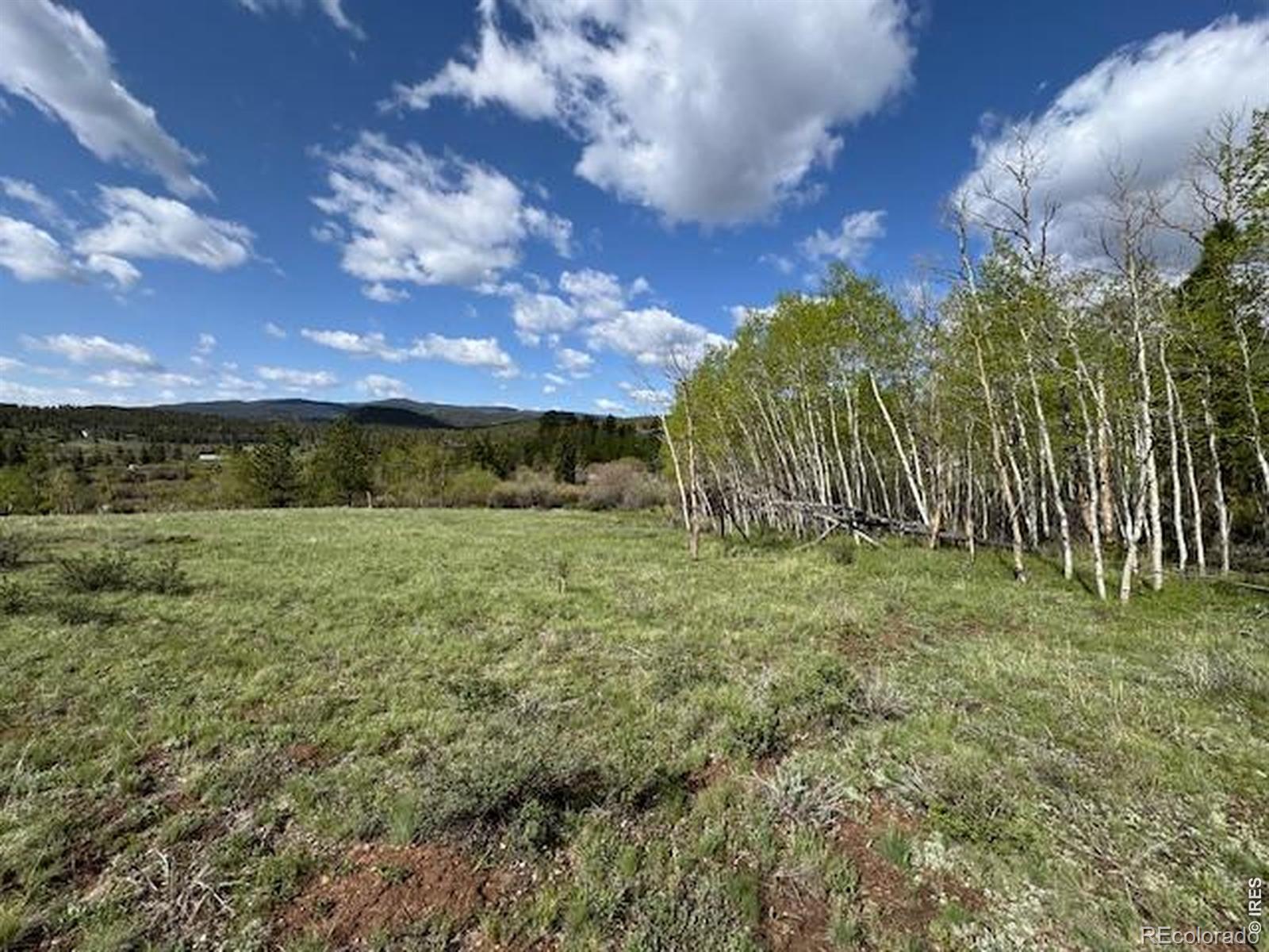 137 Cimarron Road Red Feather Lakes CO 80545