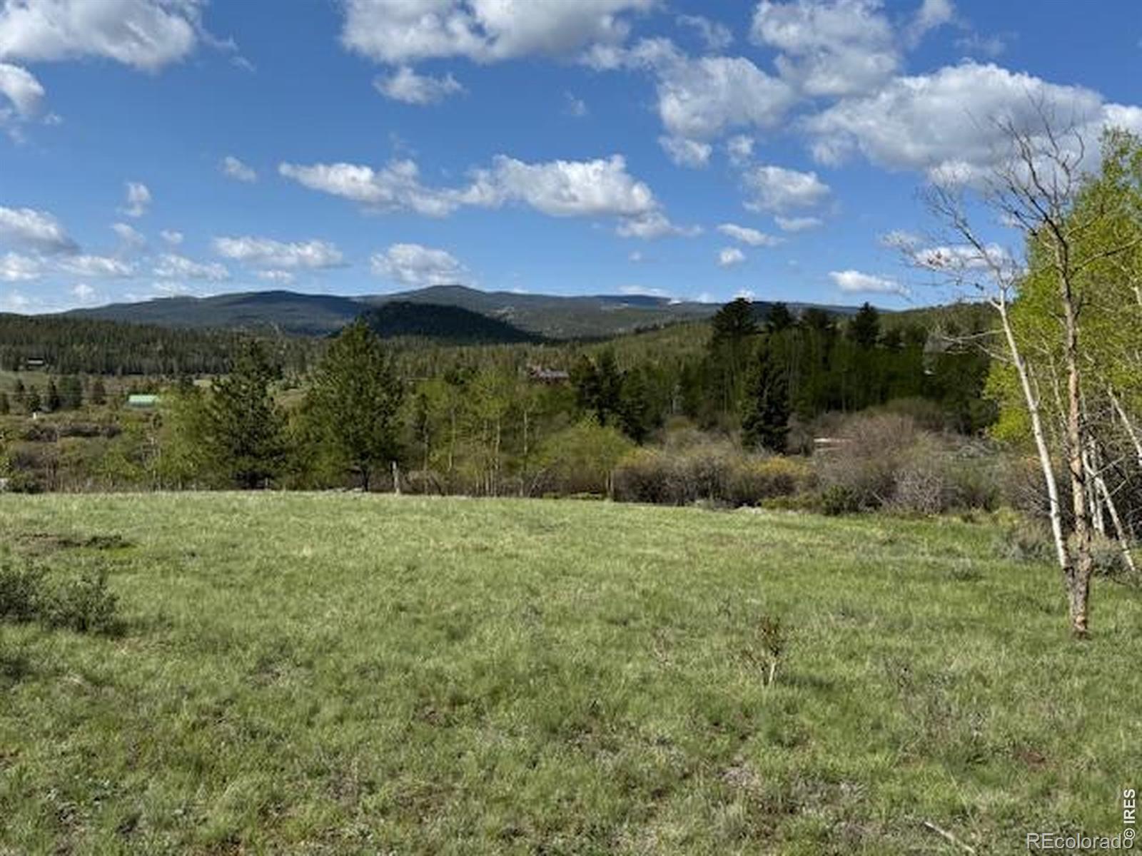 137 Cimarron Road Red Feather Lakes CO 80545