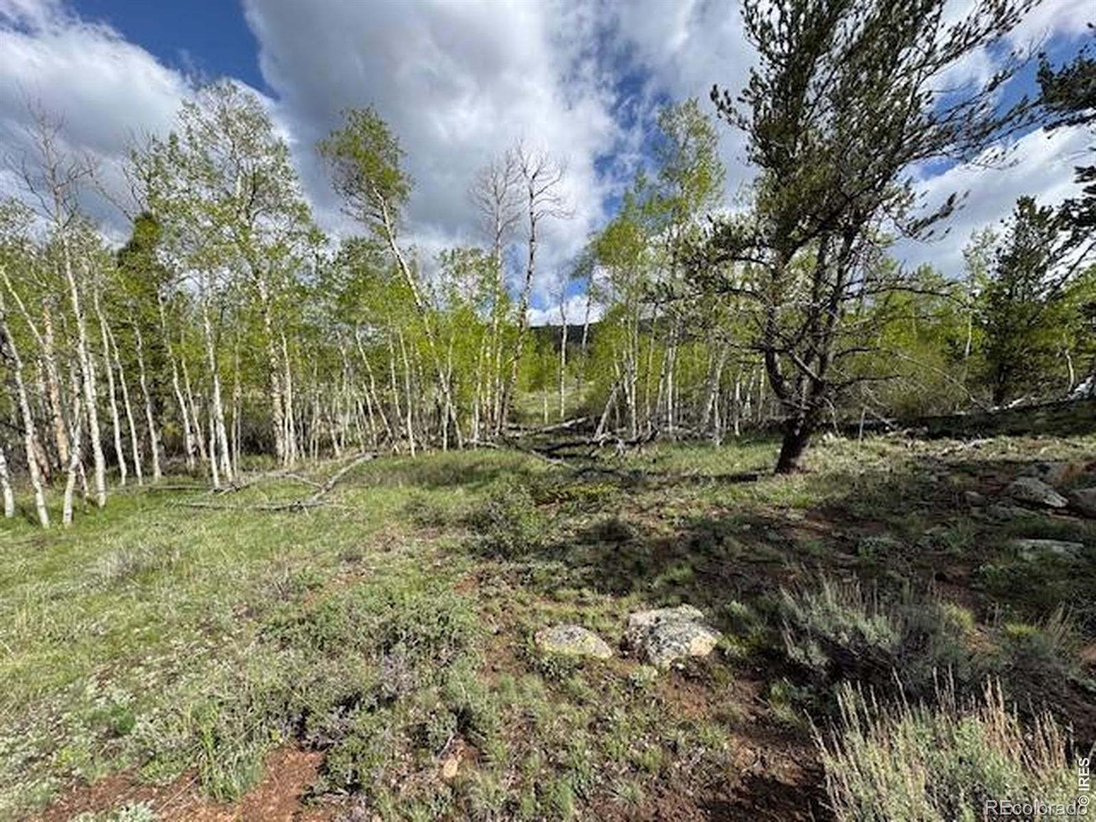 137 Cimarron Road Red Feather Lakes CO 80545