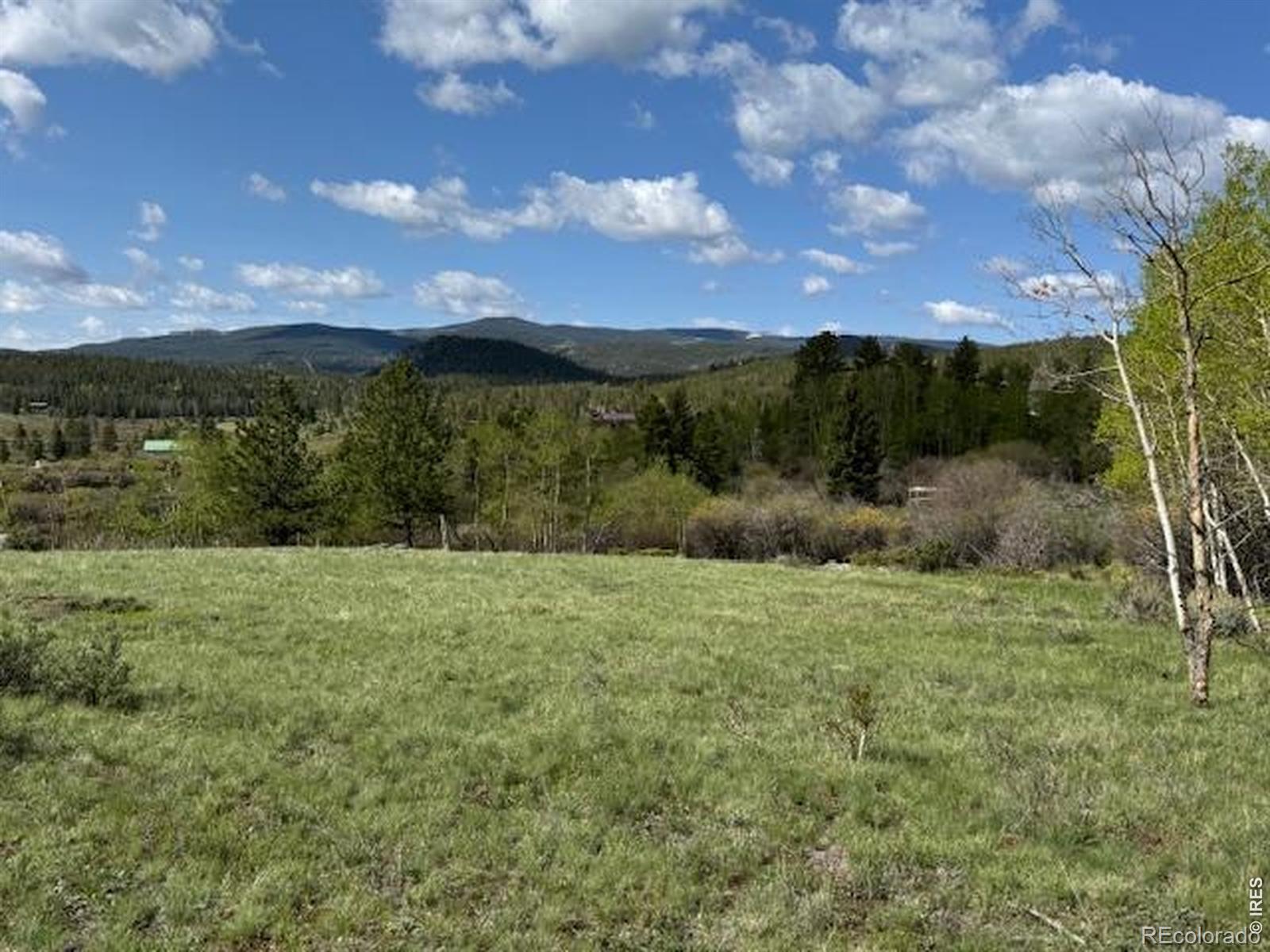 137 Cimarron Road Red Feather Lakes CO 80545