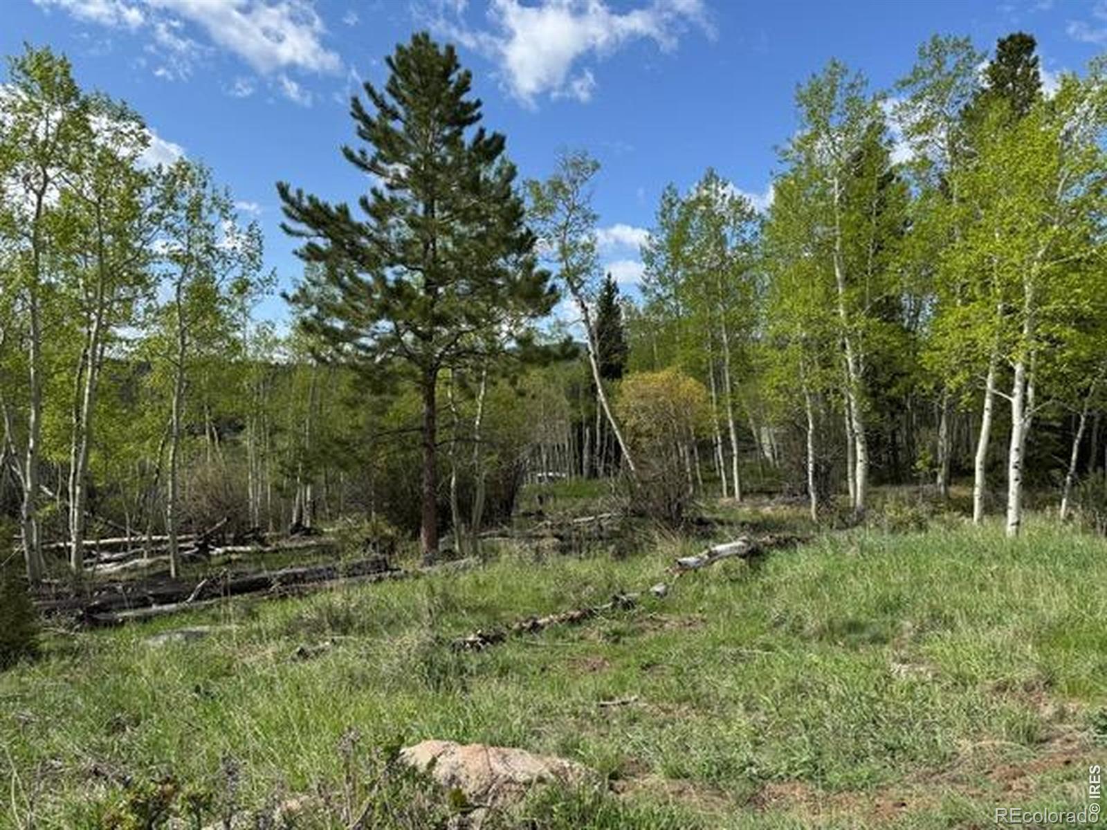 137 Cimarron Road Red Feather Lakes CO 80545