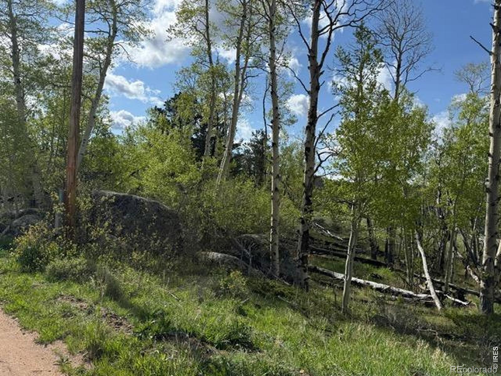 137 Cimarron Road Red Feather Lakes CO 80545