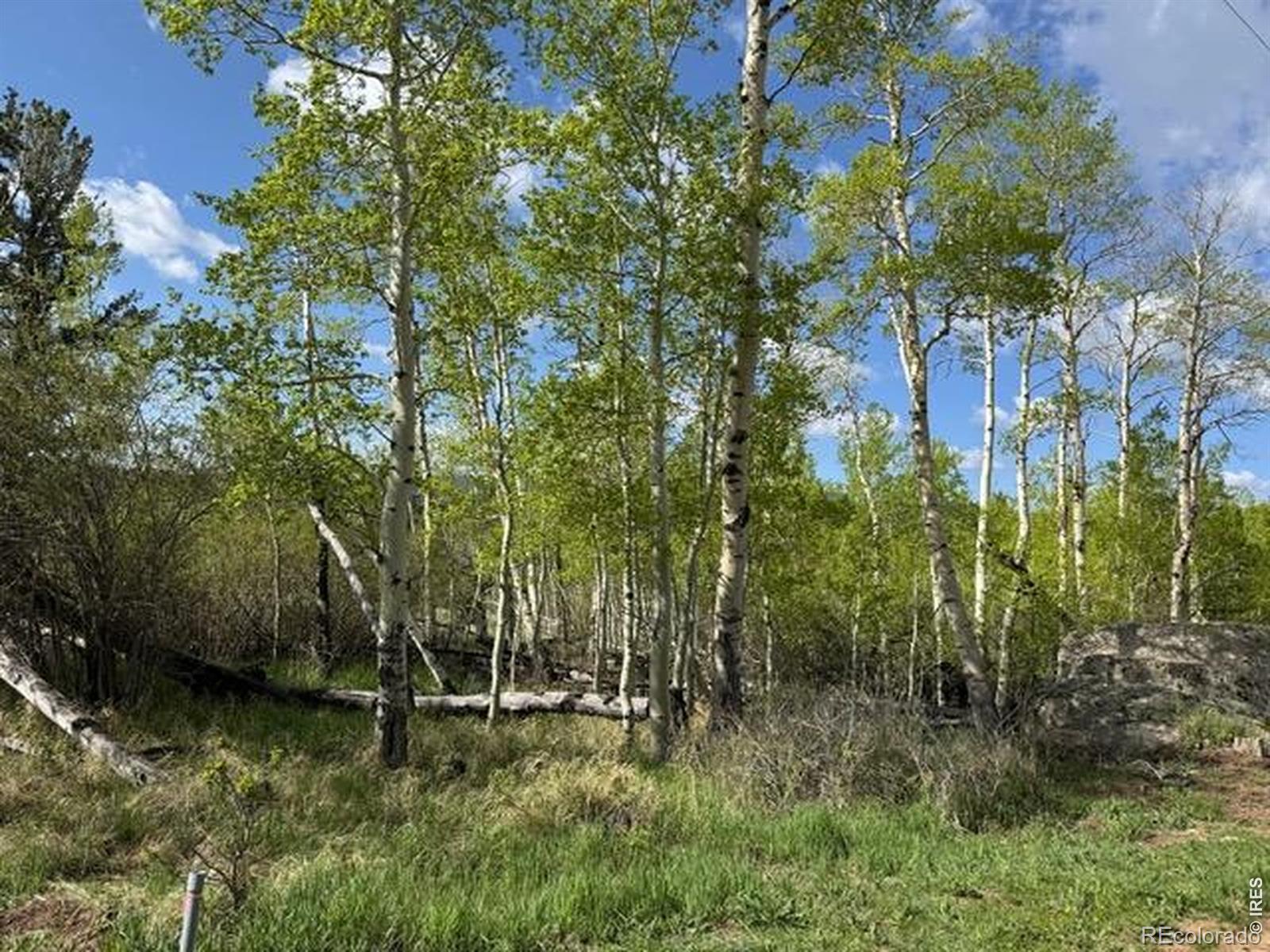 137 Cimarron Road Red Feather Lakes CO 80545