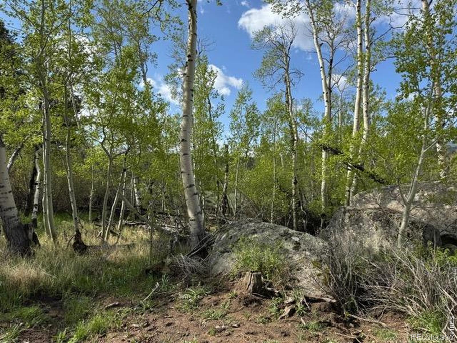 137 Cimarron Road Red Feather Lakes CO 80545