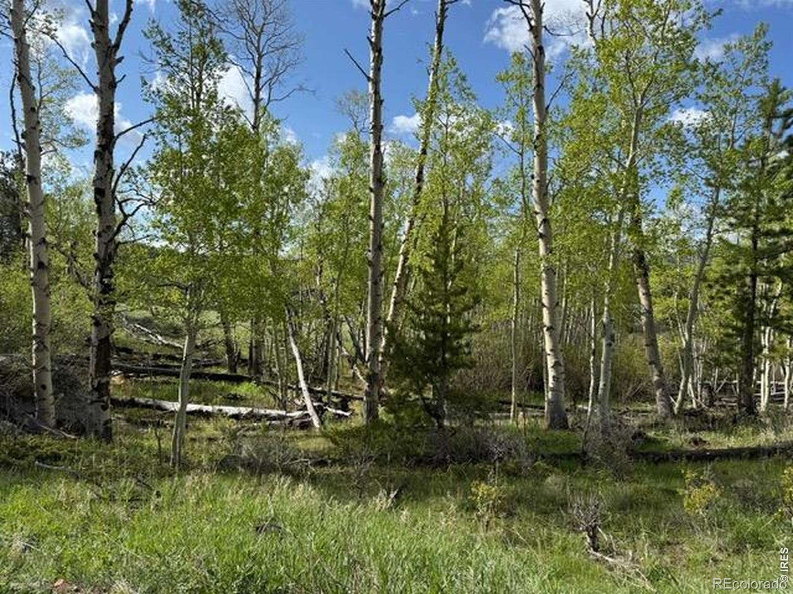 137 Cimarron Road Red Feather Lakes CO 80545