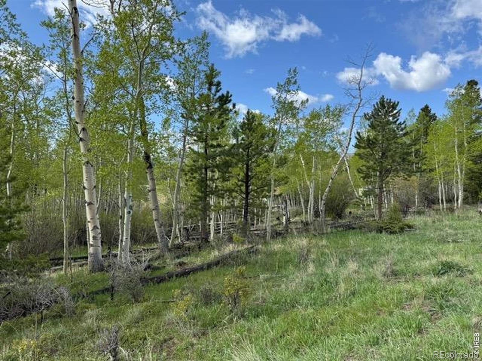 137 Cimarron Road Red Feather Lakes CO 80545