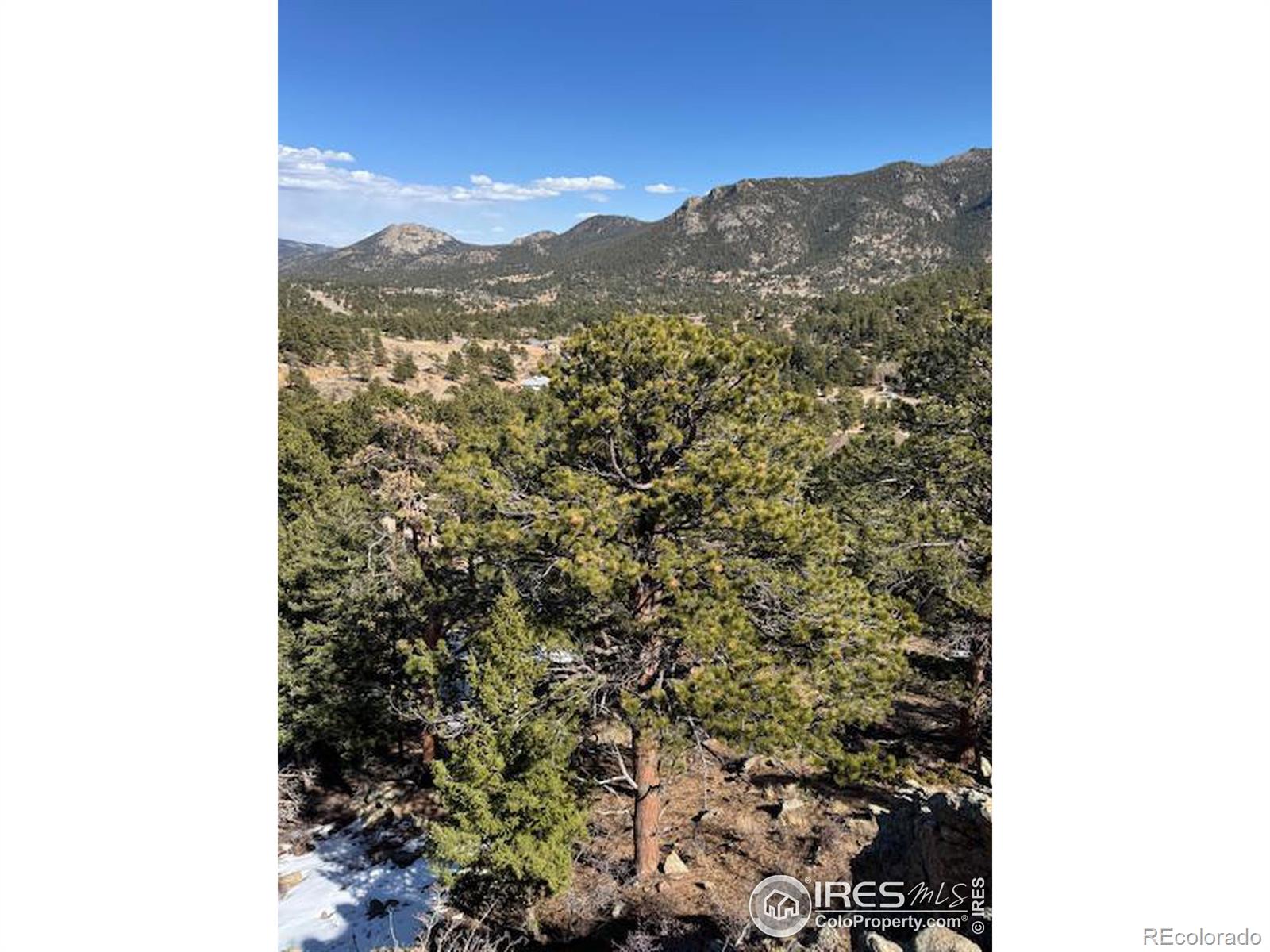 345 Green Pine Court Estes Park CO 80517