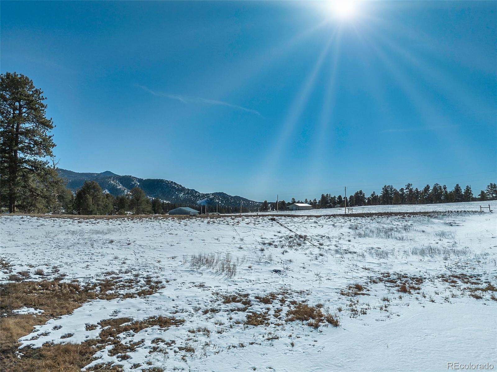 146 Pennsylvania Avenue Florissant CO 80816