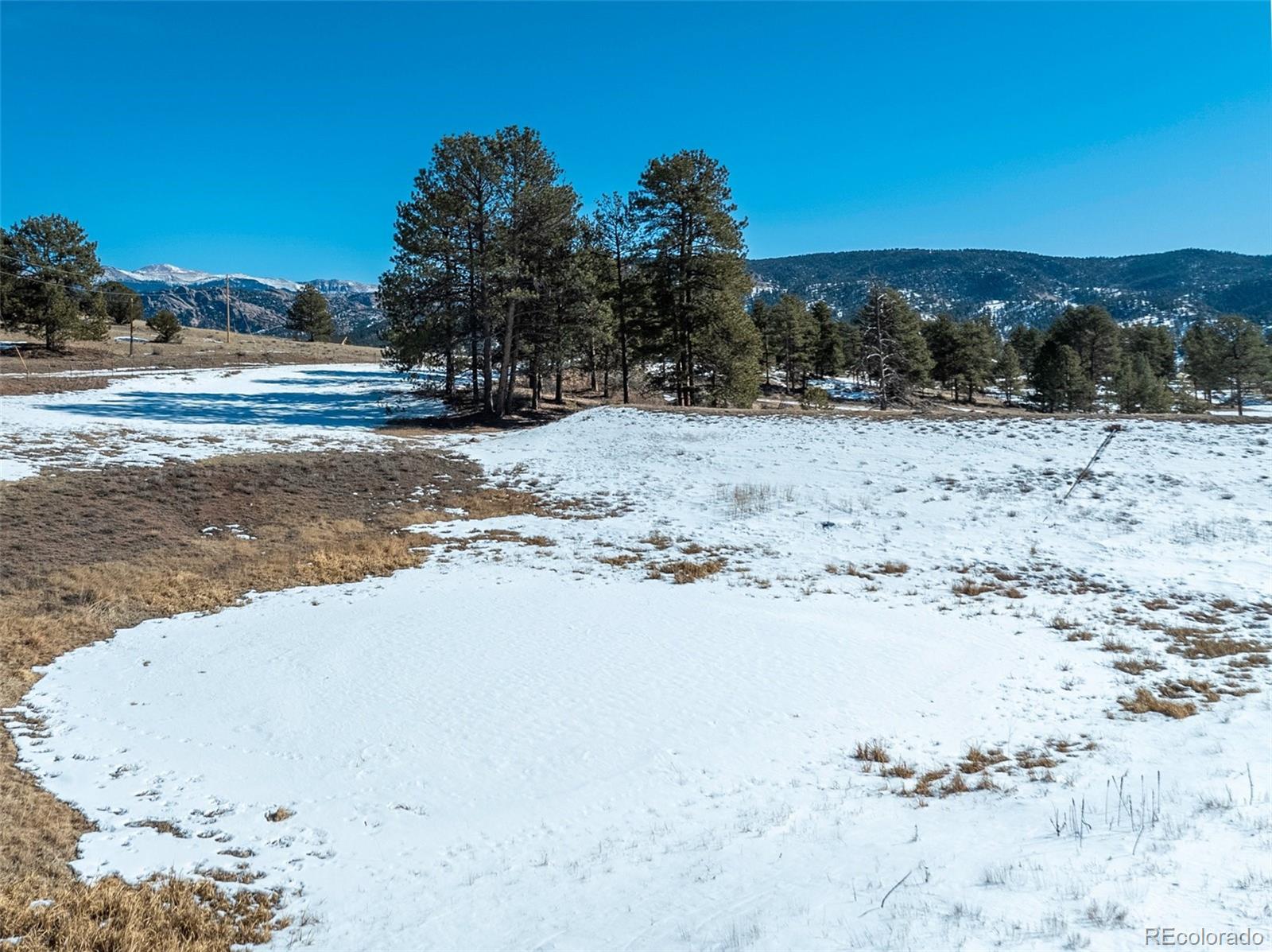 146 Pennsylvania Avenue Florissant CO 80816