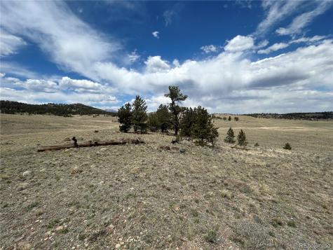 591 Singletree Court Hartsel CO 80449