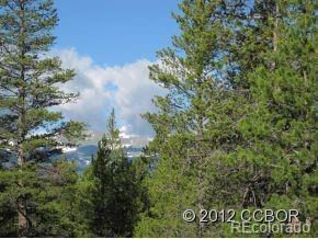 205 Alpine Cirque Leadville CO 80461