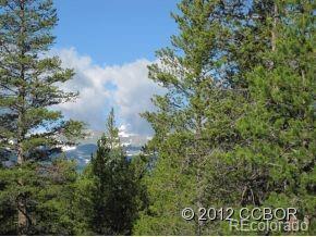 205 Alpine Cirque Leadville CO 80461