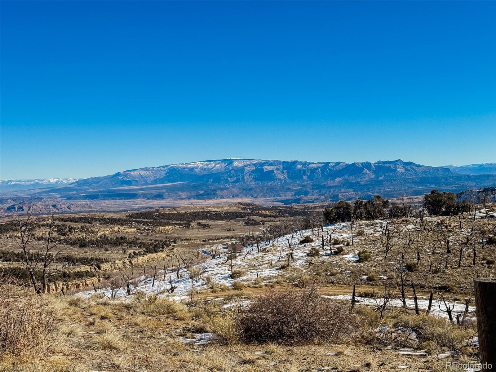 1725 35 1/10 Road De Beque CO 81630