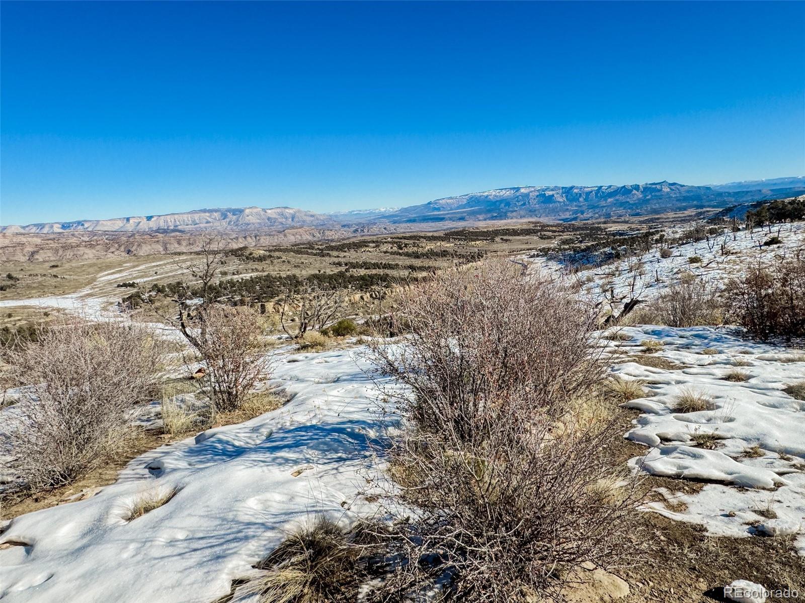 1725 35 1/10 Road De Beque CO 81630