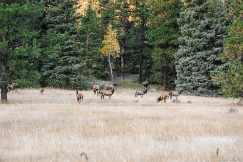 950 Corral Creek Road Evergreen CO 80439