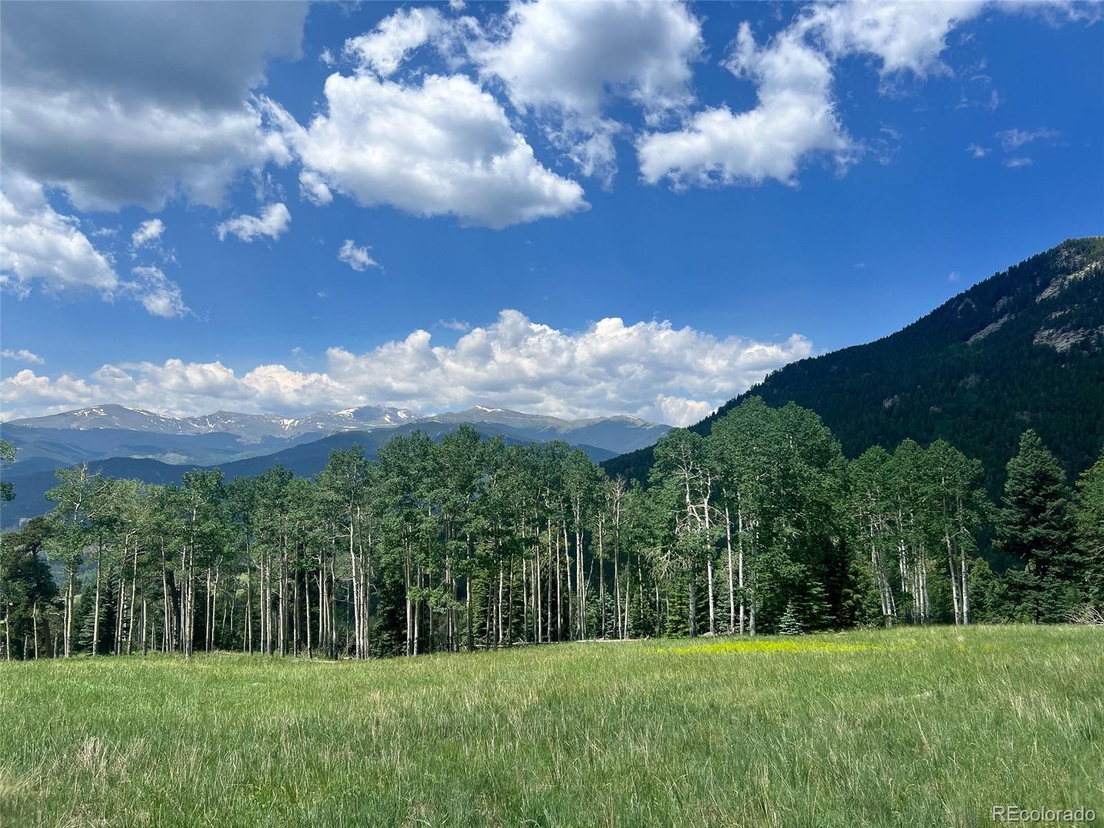 950 Corral Creek Road Evergreen CO 80439