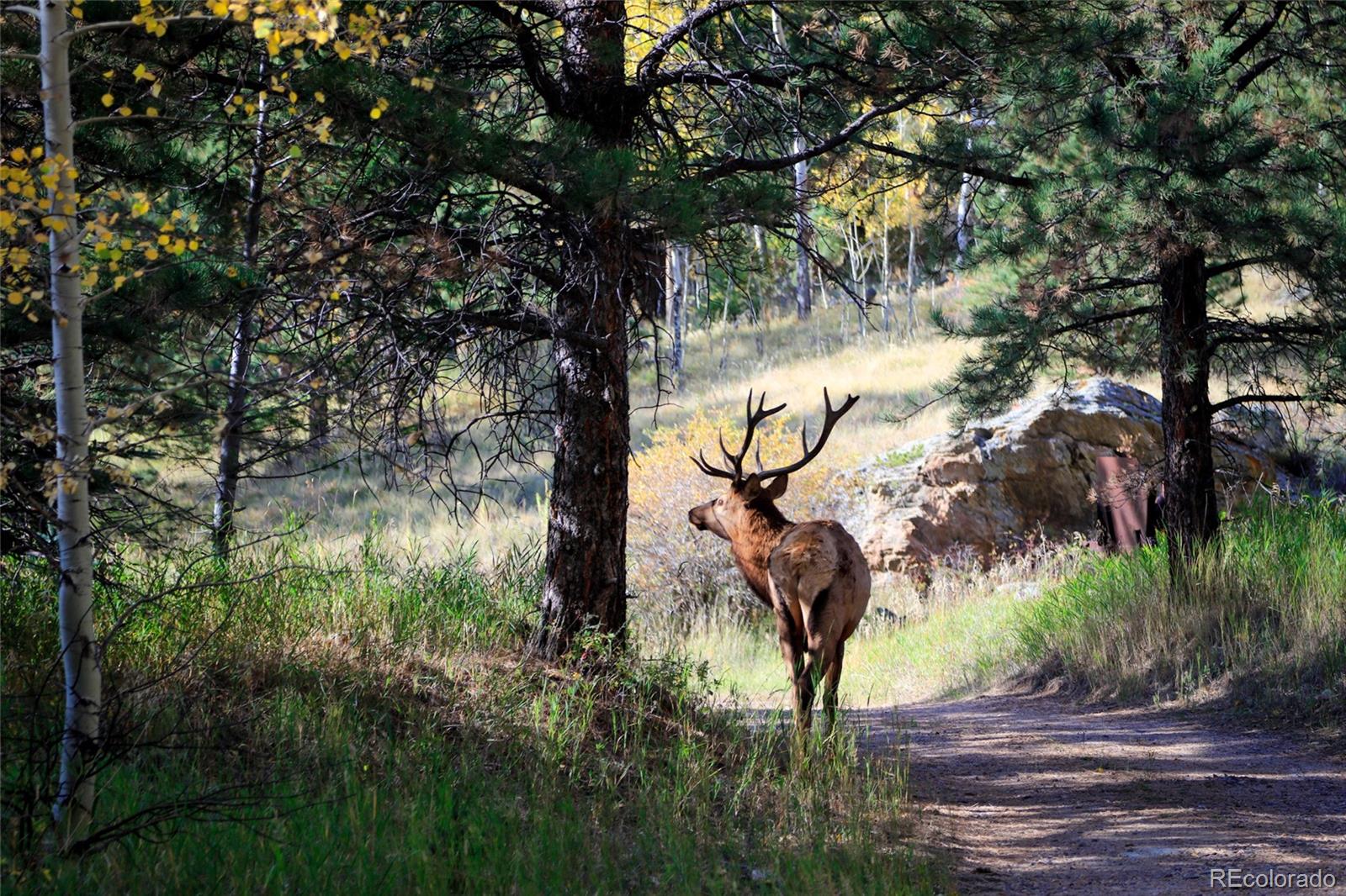 950 Corral Creek Road Evergreen CO 80439