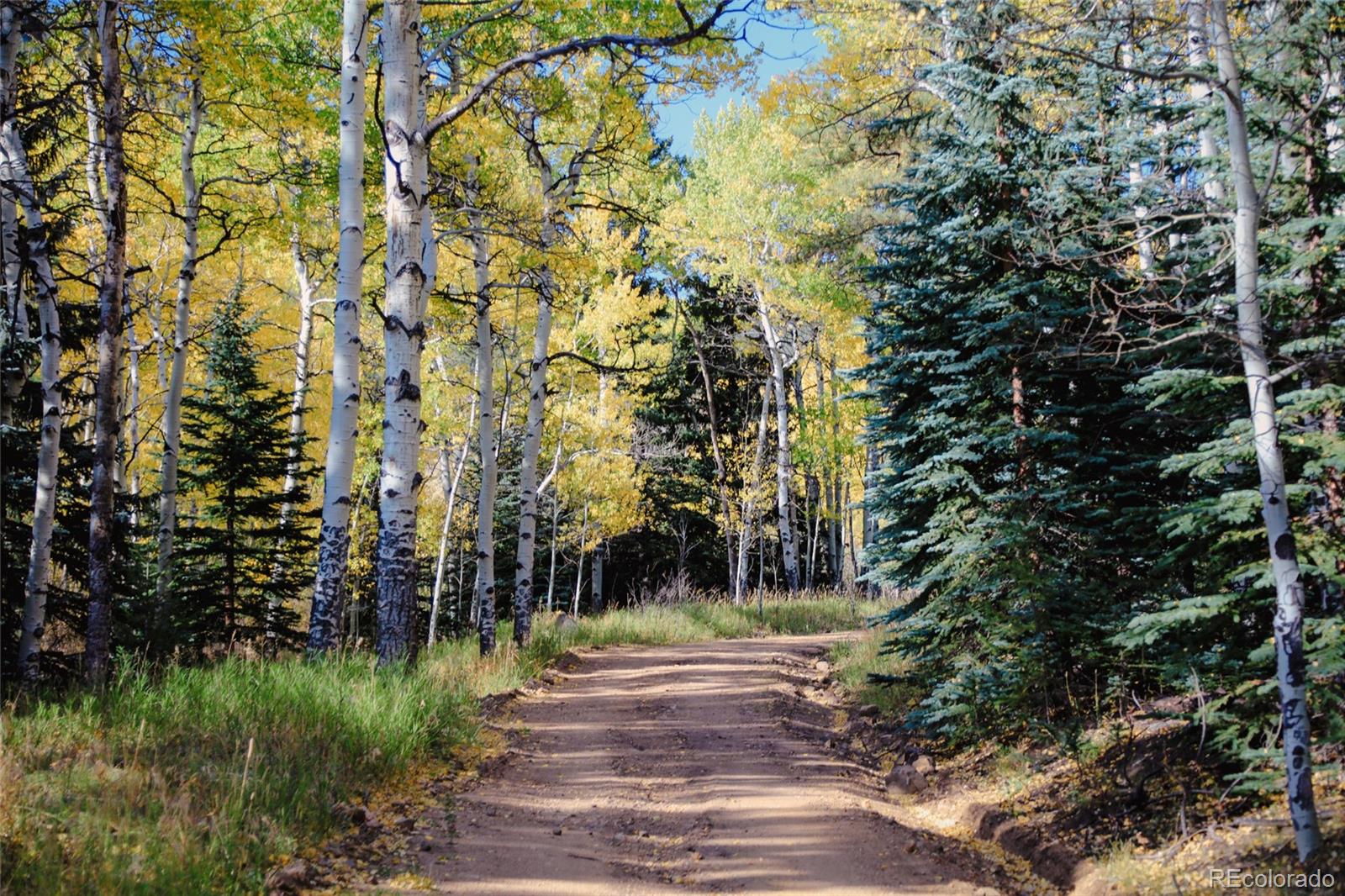 950 Corral Creek Road Evergreen CO 80439