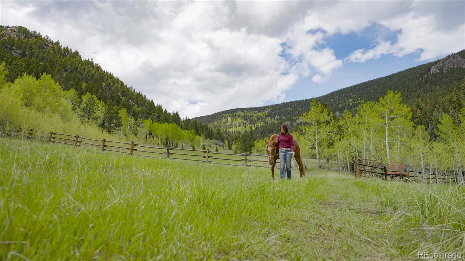 950 Corral Creek Road Evergreen CO 80439