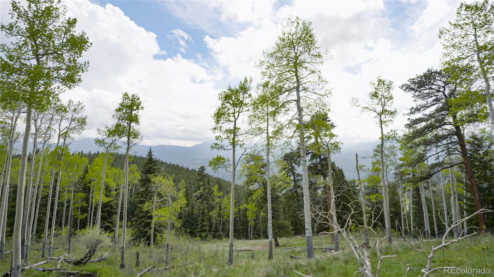 950 Corral Creek Road Evergreen CO 80439