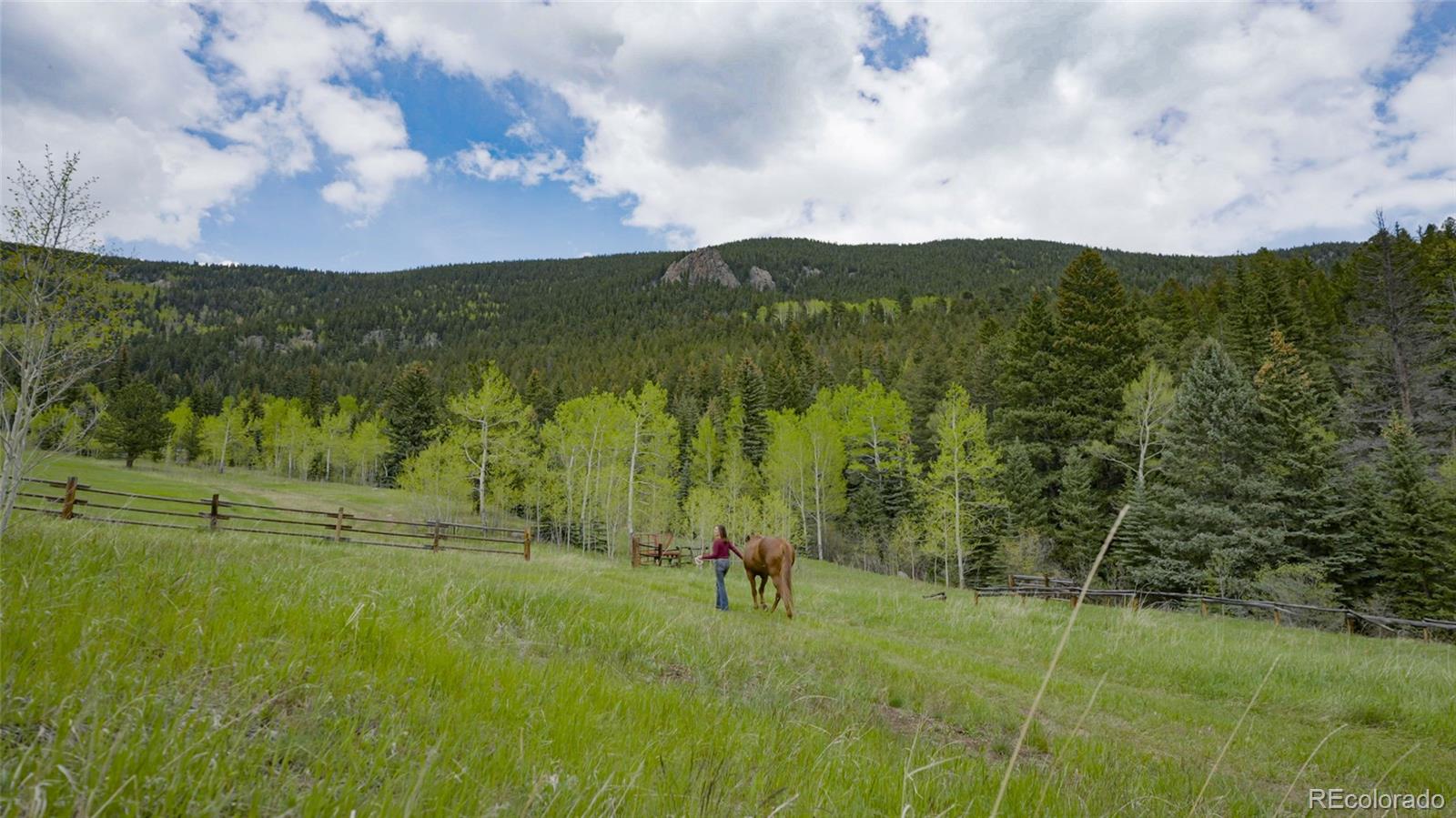 950 Corral Creek Road Evergreen CO 80439